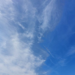 手をつないで