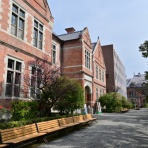 しない・させない・させられない