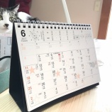 أǯα ʬ̤Ϥ뵡񡼡٤β