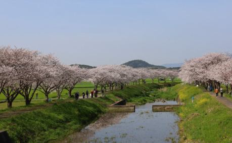 太宰府発 気まま撮り