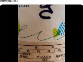カカシ米穀(株)のこしいぶき