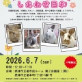 保護うさぎ譲渡会 保護うさぎさんに逢おうの会~しあわせ日和~【6/7】