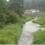 伊南川の釣り blog