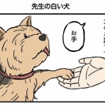 世にも奇妙ななんかの話