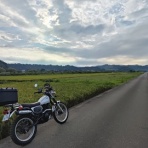 しっぽのトライアルあそび弐