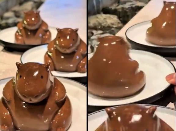 外国人「日本にはカピバラプリンというデザートがあるらしい！」