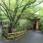 タオちゃんの温泉入りまくり