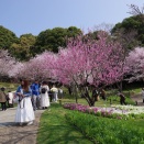 春の里山ガーデンフェスタ2026　速報版