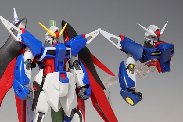 デストロイガンダム 限定品 HG RG SEED系ガンプラ 組立済 まとめ