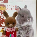 《うさフェスタ》いよいよ…