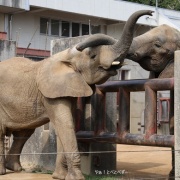 仲良し姉妹の朝のスキンシップ