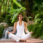 FXで資産構築！ハワイ移住計画！