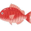 お前らが釣ったなかで、一番大物の魚ってなに？