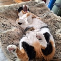 �ˤ狼�ե���ε��ᡣ