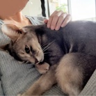 いぶし銀？ぼくさま