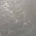 濁り薄く、しかし台風が……