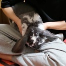 かじりたい気分！