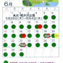 ６月カレンダー明日から東京行きなので今日アップ！＆ダンスパーティ＆エイト美容室へ！！