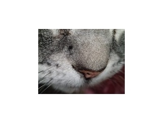 「丸の内で就職したら、幽霊物件担当でした。９」を読んで