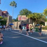 『【WDW】3DAYS⑥　ハリウッドスタジオ、ファンタズミック　家族5人旅行【ディズニー】』の画像