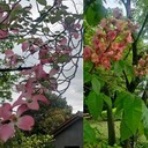 士業で投資家の節約日記