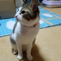 KIMOTOダリア園