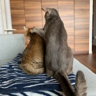 ちび子とぼくちん