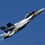 I Love Flying