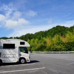 豆柴麦うた日記