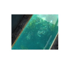 南房総ドライブ　10