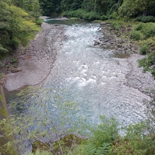 つり吉オヤジの日高川龍神鮎・あまご情報