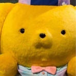 プリンくんと私