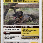 アニマルボンド Animal bond.