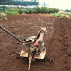 小作人の道楽日記