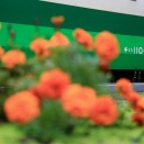 JR東日本郡山総合車両センターキハ110系@キハ110-223（車番）