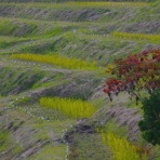 里山里海だより