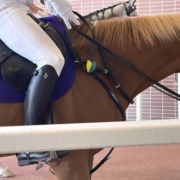 初心者マークの誘導馬バビットに会ってきました