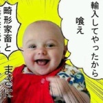 中国人「日本の食材も安全じゃ無いのに、何故中国食材を非難出来るんだ？」