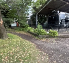 北口にあるSLと桜の高沢公園。令和10年度リニューアルに向けて動き始めてるっぽい。来月7/6(月)シンポジウムも開催されるって。(沼津市高沢町)
