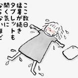 『日傘をちゃんとさしましょう』の画像