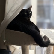 やっぱり現物を見て買ったほうがいい