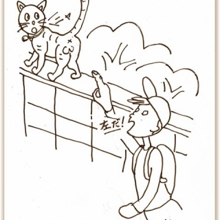 小説『ザ・民間療法』花山水清