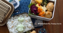 色違いのイルカ弁当