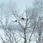 ひのき建設　雑文箱