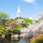 都民「自然見に行くぞー！」→完全に人工の、人がたくさんいる公園へ