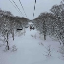 今日は久々の大会