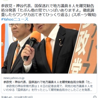 痛いニュース(ﾉ∀`)