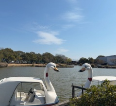 31年間ありがとう！「干拓の里」（諫早市小野島町）