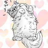 猫の練習などしました