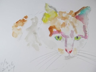 #こんな絵を描いています　#山本京嗣　画　#猫